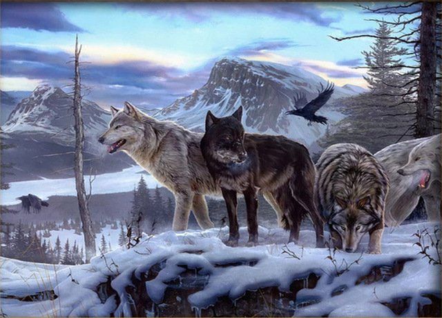 Couple Wolf Animal Landscape Diamond Painting