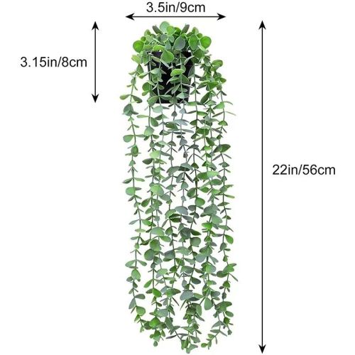 Plant Eucalyptus Indoor And Outdoor Decoration By Fake Bonsai