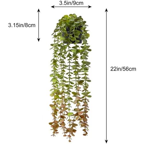 Plant Eucalyptus Indoor And Outdoor Decoration By Fake Bonsai