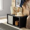 2-Cube Storage Organizer