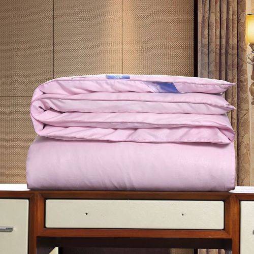 Silk Thickened Winter Cotton Padded Quilt Household
