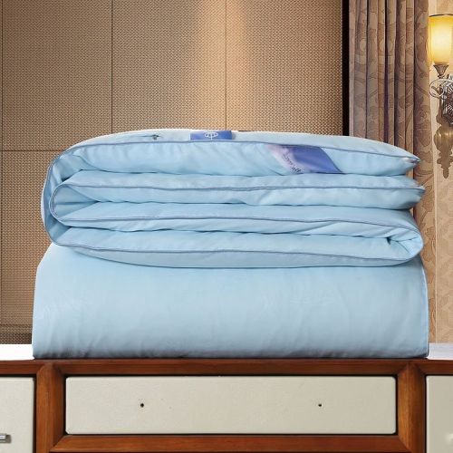 Silk Thickened Winter Cotton Padded Quilt Household